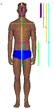 The Golden Ratio | Scienceteen